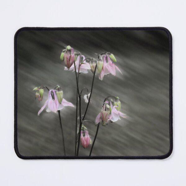 Item preview, Pink Painted Lady designed and sold by Wayne King.