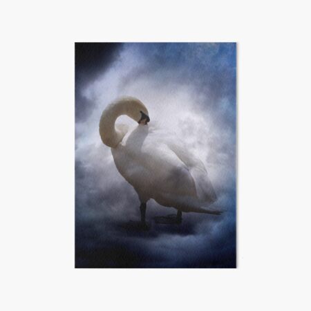Schwan und Wolken Galeriedruck