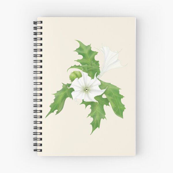 Item preview, Jimson Weed designed and sold by SadieLouHays.