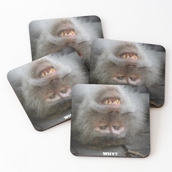 Item preview, Why Though? Confused Monkey Meme – Existential Crisis Funny Animal designed and sold by WildFrameNature.