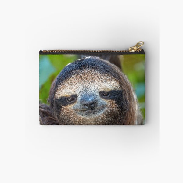 Item preview, Told You Sloth Meme – Funny Sarcastic Relatable Animal Humor designed and sold by WildFrameNature.