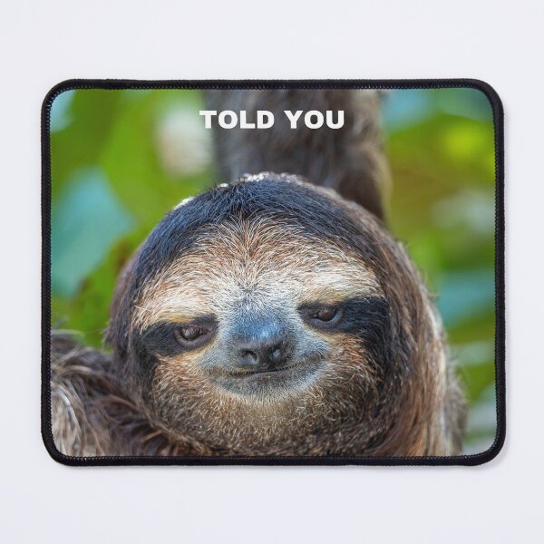 Item preview, Told You Sloth Meme – Funny Sarcastic Relatable Animal Humor designed and sold by WildFrameNature.