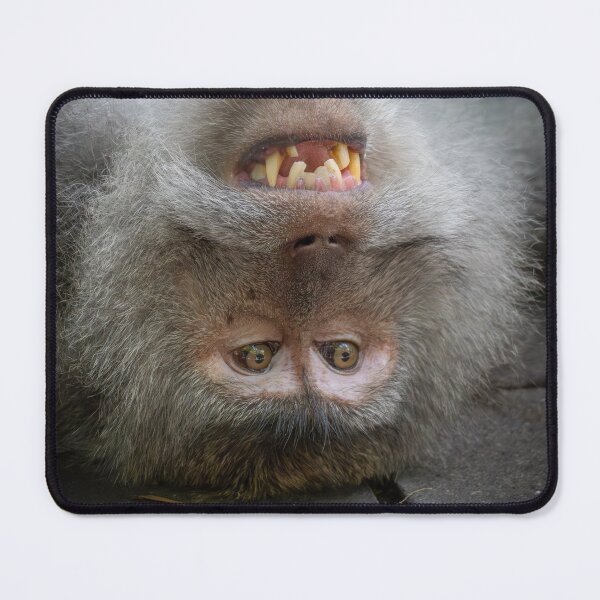 Item preview, Current Mood Monkey Meme – Funny Relatable Chaos Expression designed and sold by WildFrameNature.
