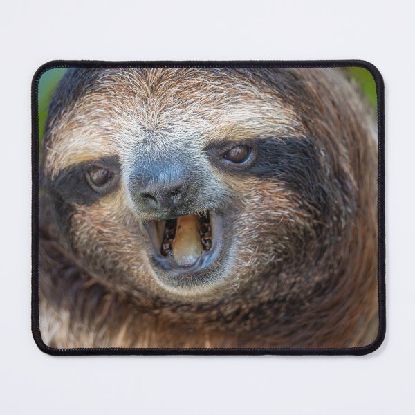 Item preview, Nah Sloth Meme – Funny Lazy Mood Animal Reaction designed and sold by WildFrameNature.