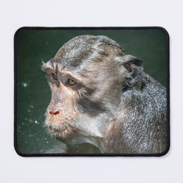 Item preview, Seriously Monkey Meme – Funny Annoyed Reaction Animal designed and sold by WildFrameNature.