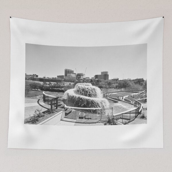 Item preview, The New And Improved Finlay Park Columbia SC Black And White designed and sold by LisaWootenPhoto.
