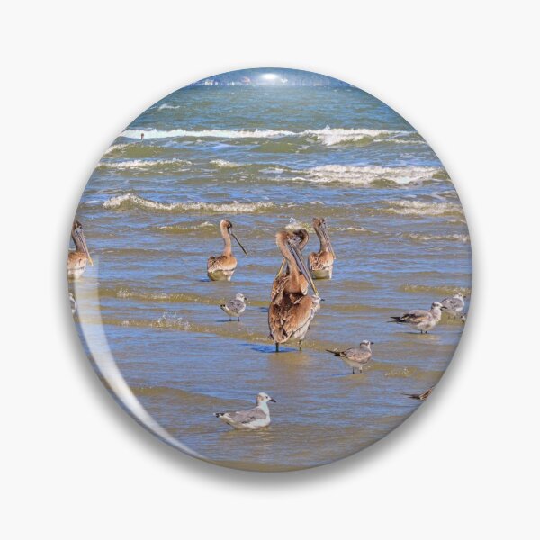 Item preview, Seabirds Gather on Hilton Head Shore designed and sold by LisaWootenPhoto.
