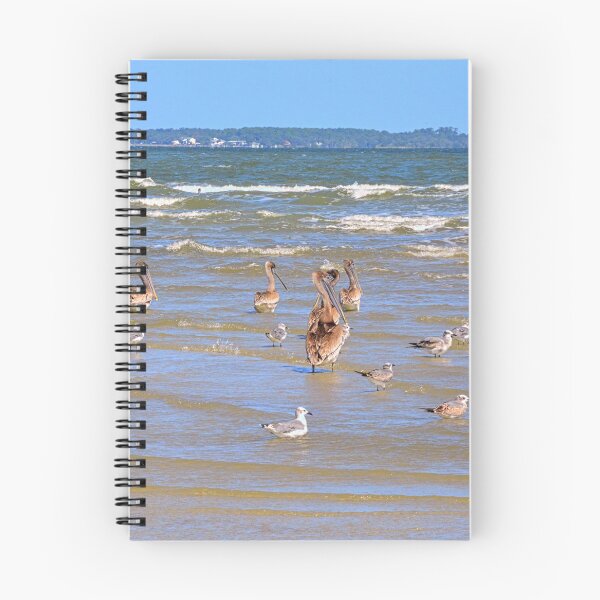 Item preview, Seabirds Gather on Hilton Head Shore designed and sold by LisaWootenPhoto.