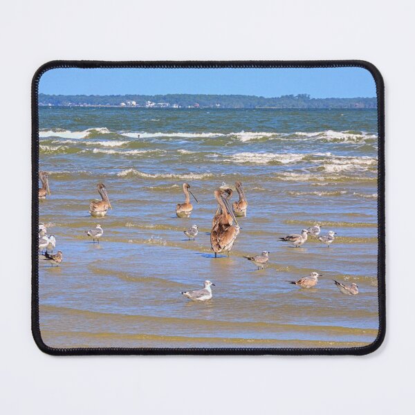 Item preview, Seabirds Gather on Hilton Head Shore designed and sold by LisaWootenPhoto.