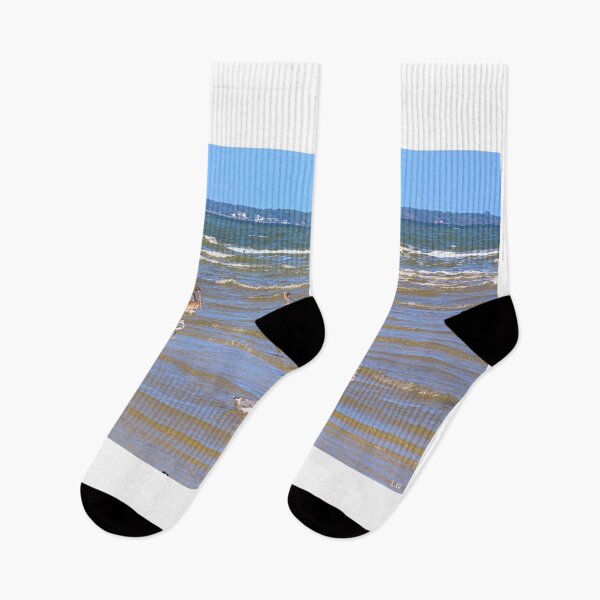 Item preview, Seabirds Gather on Hilton Head Shore designed and sold by LisaWootenPhoto.