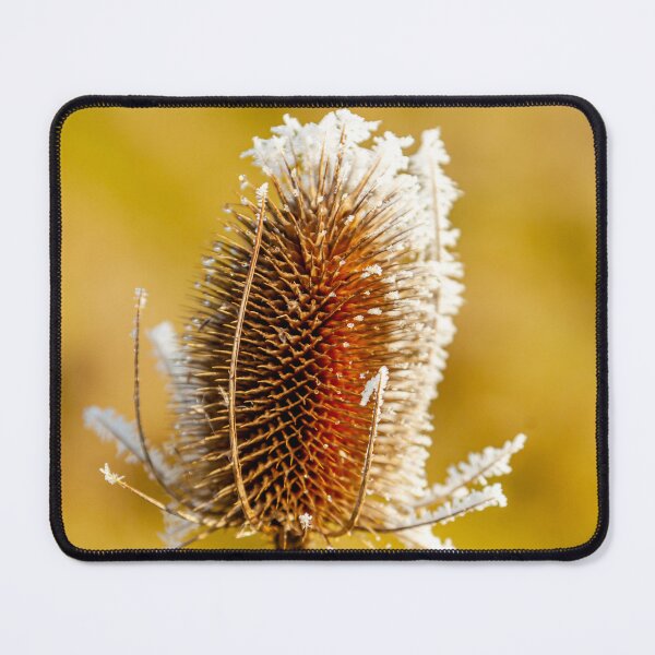 Item preview, Winter Teasel designed and sold by Dalyndigital Photography.