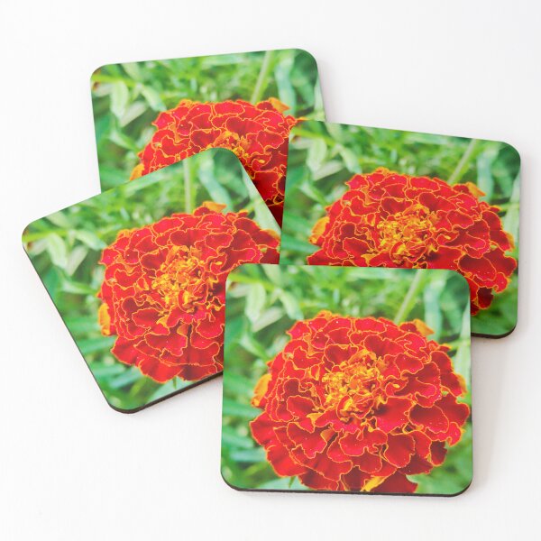Item preview, Marigold designed and sold by sonamkumari333.