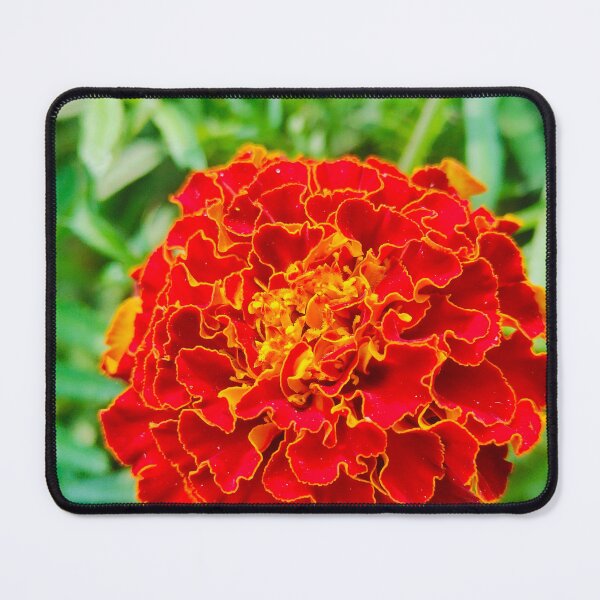 Item preview, Marigold designed and sold by sonamkumari333.