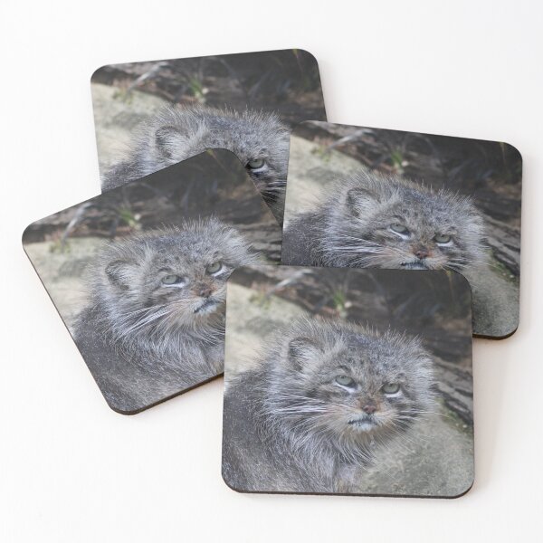 Item preview, Grumpy Cat  designed and sold by naturaltiger.