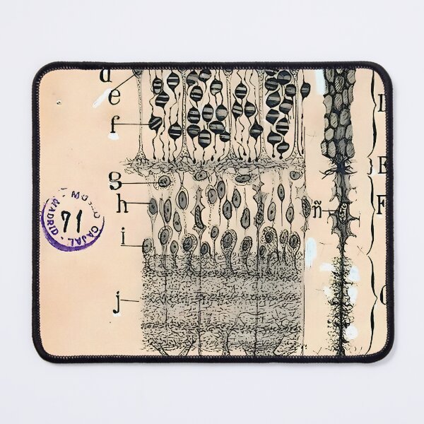 Item preview, Santiago Ramon y Cajal - Eye Retina Vintage Cell Drawing designed and sold by Jon-Baran.