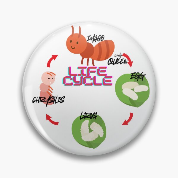 Item preview, FanAnt Ant Life Cycle  designed and sold by Ant Category.