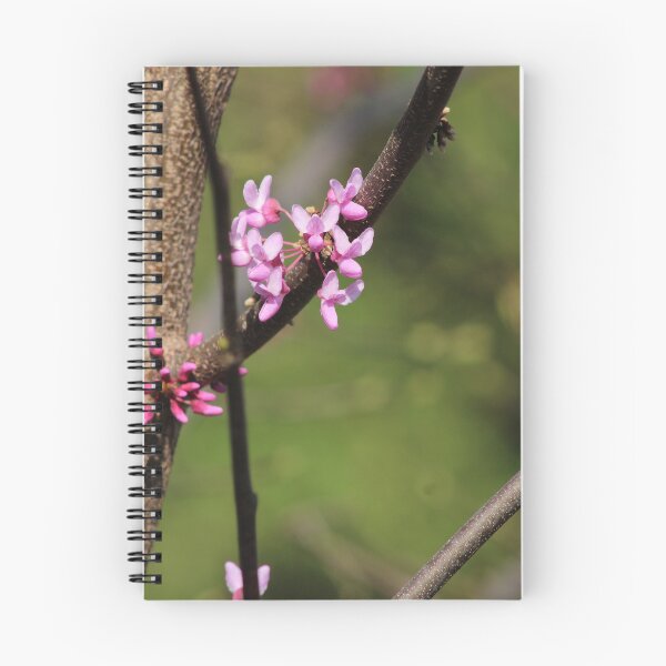 Item preview, signs of spring 2 designed and sold by derekrich.