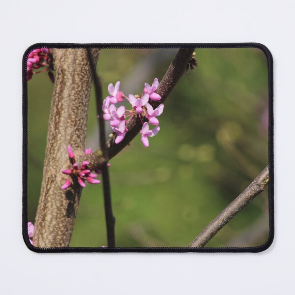 Item preview, signs of spring 2 designed and sold by derekrich.