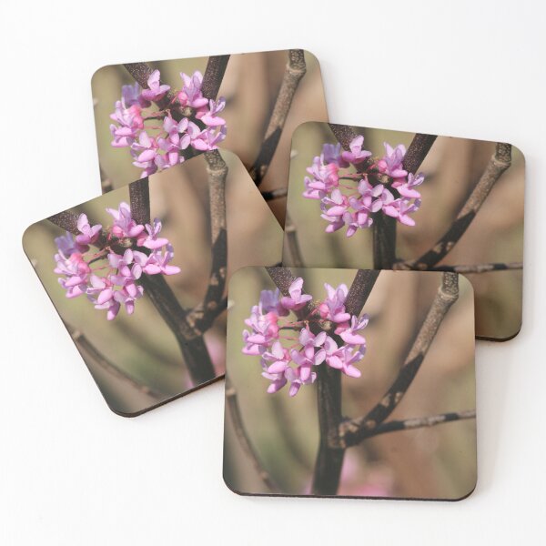 Item preview, signs of spring 3 designed and sold by derekrich.