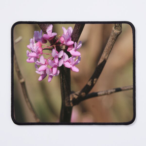Item preview, signs of spring 3 designed and sold by derekrich.