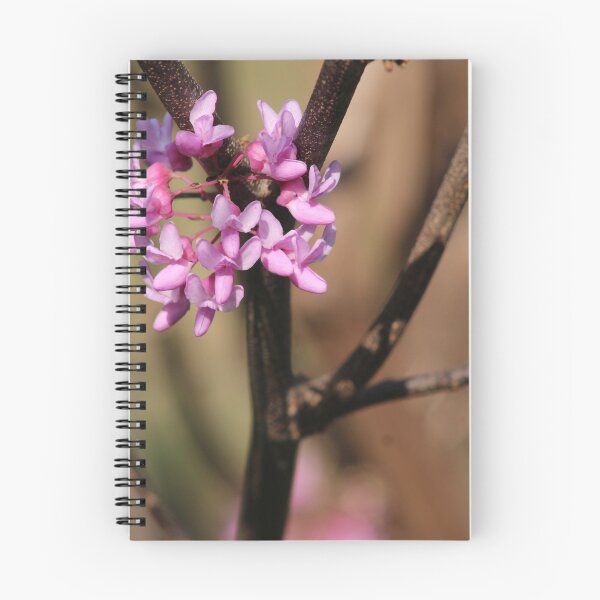 Item preview, signs of spring 3 designed and sold by derekrich.