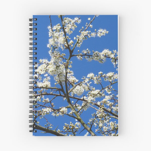 Item preview, Blackthorn Flowers designed and sold by wiggyofipswich.