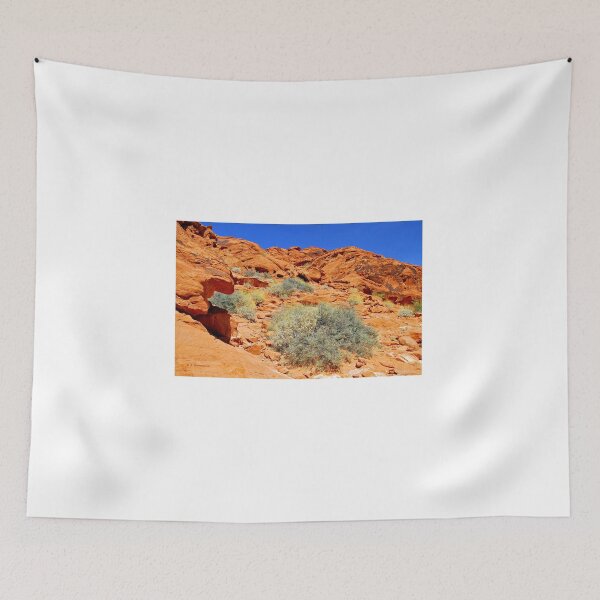 Item preview, Red Sandstone Rock Formations, Valley of Fire State Park, Nevada, USA designed and sold by AMacGPhilly.