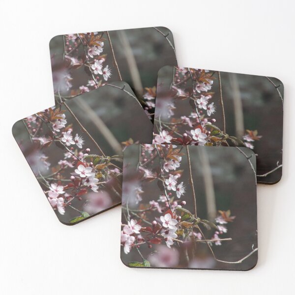 Item preview, a beautiful shot of the first signs of spring designed and sold by Photpozz.