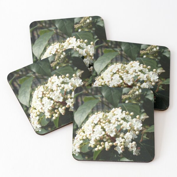 Item preview, a beautiful shot of the first signs of spring designed and sold by Photpozz.
