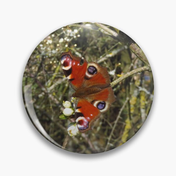 Item preview, Peacock Butterfly On Blackthorn Flowers designed and sold by wiggyofipswich.