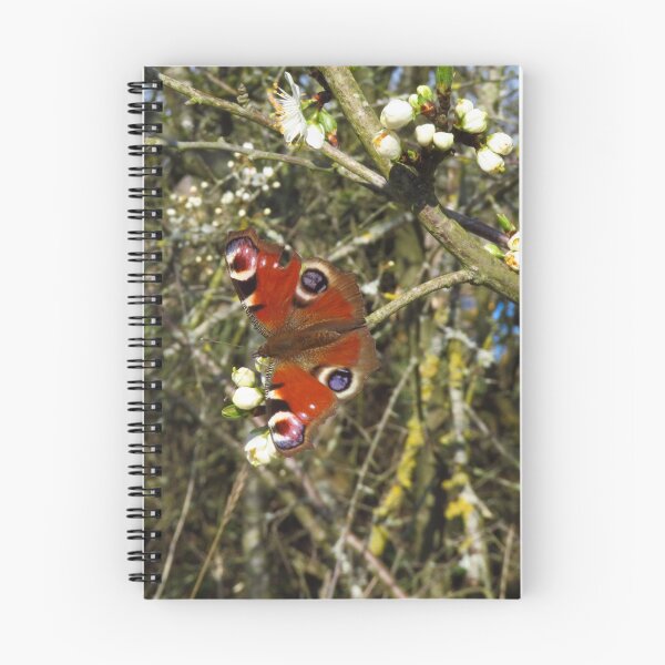 Item preview, Peacock Butterfly On Blackthorn Flowers designed and sold by wiggyofipswich.