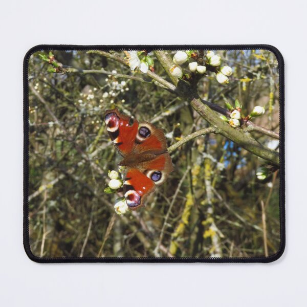 Item preview, Peacock Butterfly On Blackthorn Flowers designed and sold by wiggyofipswich.