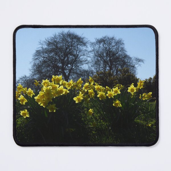 Item preview, Daffodils On A Bank designed and sold by wiggyofipswich.