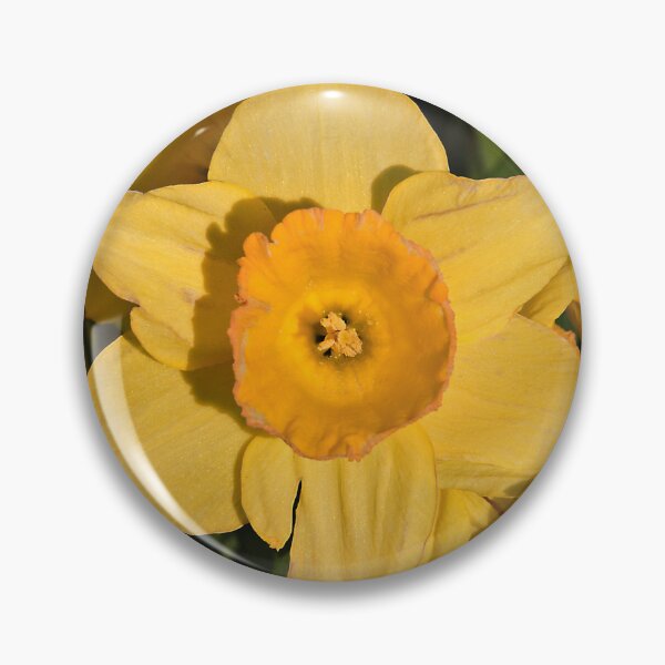 Item preview, Yellow Daffodil, Evesham, Worcestershire designed and sold by RJKYTE1970.