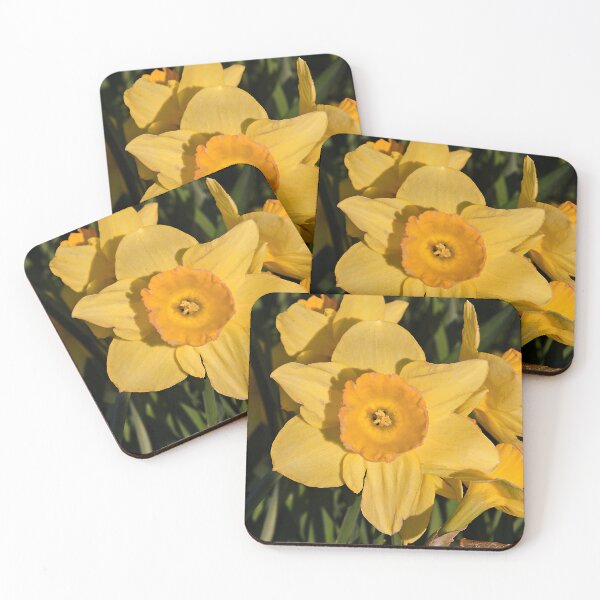 Item preview, Yellow Daffodil, Evesham, Worcestershire designed and sold by RJKYTE1970.
