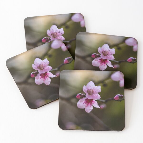 Item preview, Spring designed and sold by albaboschphoto.