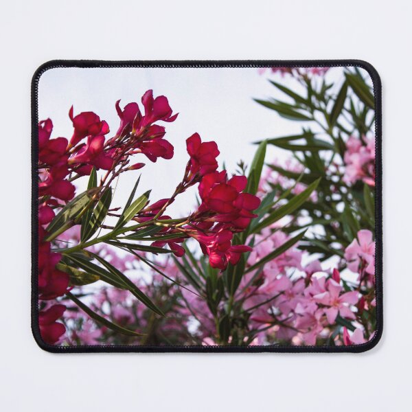 Item preview, Oleander designed and sold by albaboschphoto.