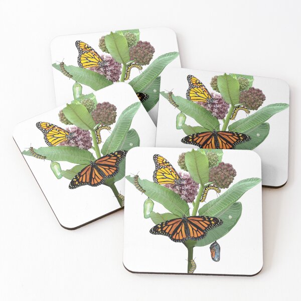 Item preview, Monarch Lifecycle Egg Caterpillar Chrysalis Butterfly on Milkweed designed and sold by Carleah Unique.