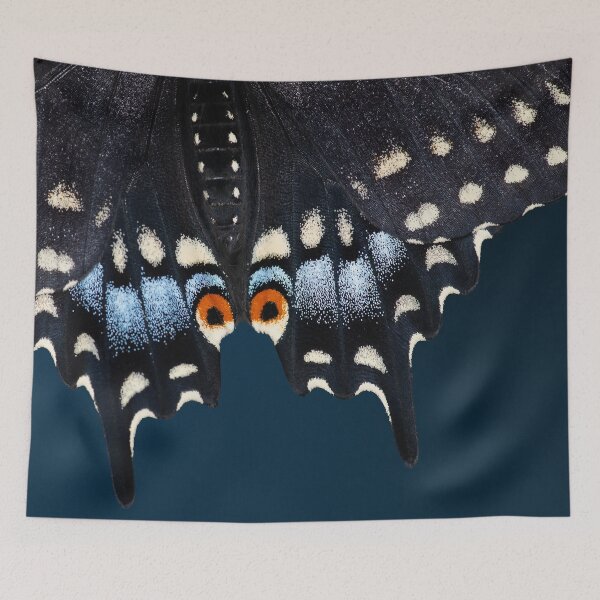 Item preview, Macro Photograph of an Eastern Black Swallowtail Butterfly designed and sold by Carleah Unique.