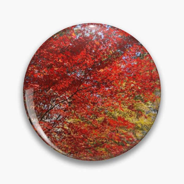 Item preview, Sunlit Red Maple Trees – Colorful Autumn Forest Scene designed and sold by TopHatCreations.