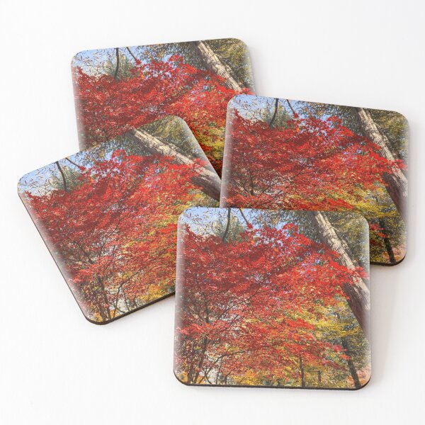 Item preview, Sunlit Red Maple Trees – Colorful Autumn Forest Scene designed and sold by TopHatCreations.