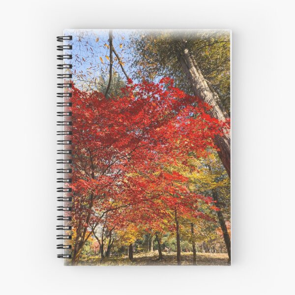 Item preview, Sunlit Red Maple Trees – Colorful Autumn Forest Scene designed and sold by TopHatCreations.