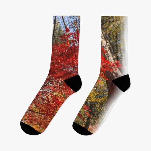 Item preview, Sunlit Red Maple Trees – Colorful Autumn Forest Scene designed and sold by TopHatCreations.