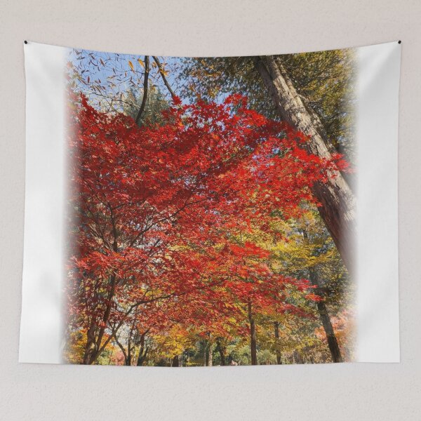 Item preview, Sunlit Red Maple Trees – Colorful Autumn Forest Scene designed and sold by TopHatCreations.