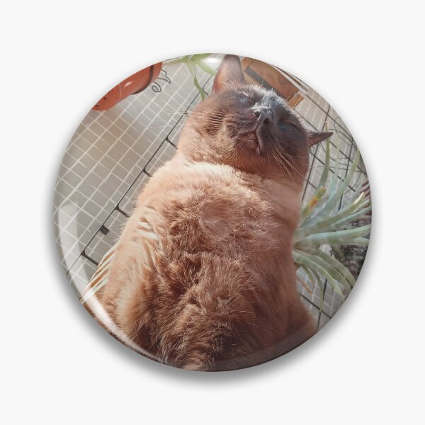 Item preview, Relaxed Siamese Cat Sunbathing in a Vertical Garden designed and sold by André Ramos Ielo.