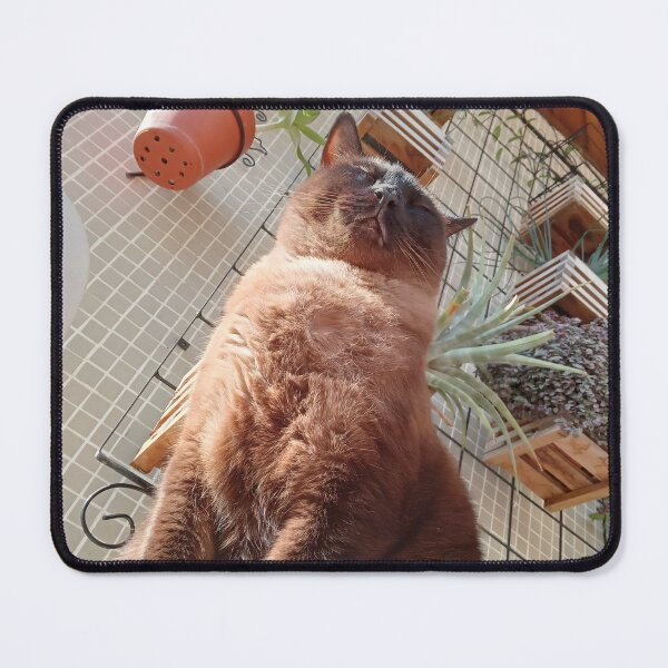 Item preview, Relaxed Siamese Cat Sunbathing in a Vertical Garden designed and sold by André Ramos Ielo.
