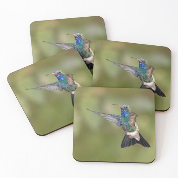 Artikelvorschau, Farbenprächtiger Kolibri mit gespreizten Flügeln entworfen und verkauft von NaturfotoEdel.