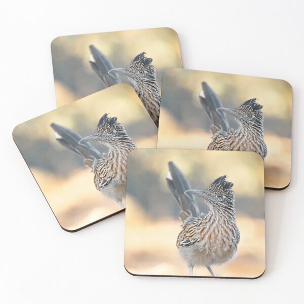 Item preview, Roadrunner portrait with an impressive pose designed and sold by NaturfotoEdel.