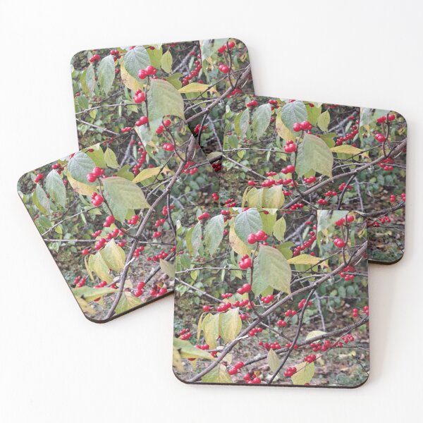 Item preview, Woodland Composition No 1 designed and sold by Glasswings & Clover.
