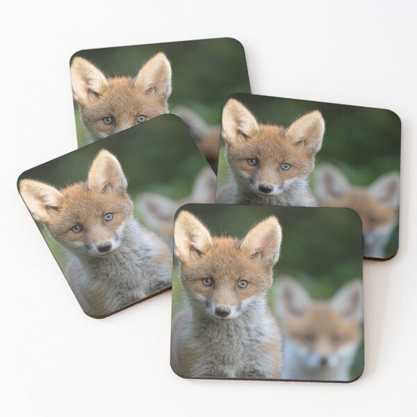 Item preview, Young red foxes in portrait designed and sold by NaturfotoEdel.